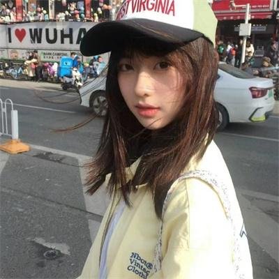 月季花开